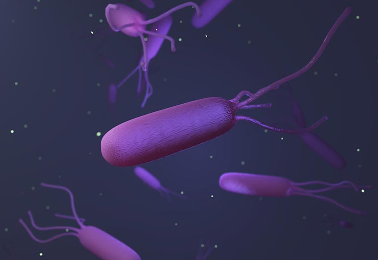 ピロリ菌検査のイメージ画像