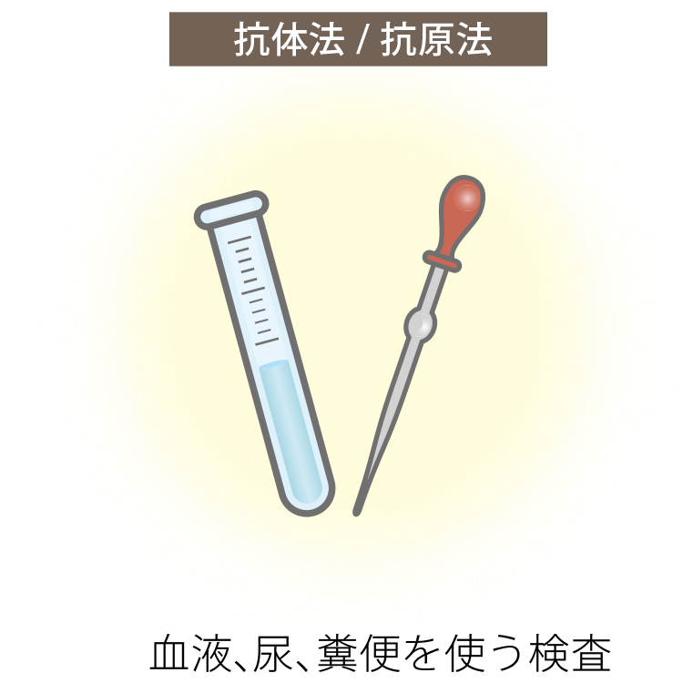 抗体法/抗原法　血液・尿・糞便を使う検査